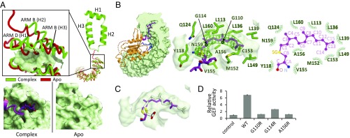 Fig. 4.