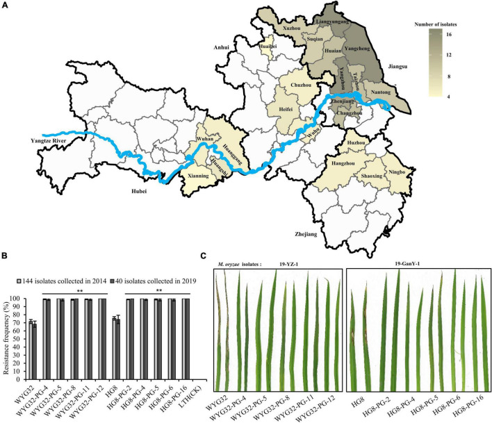 FIGURE 2