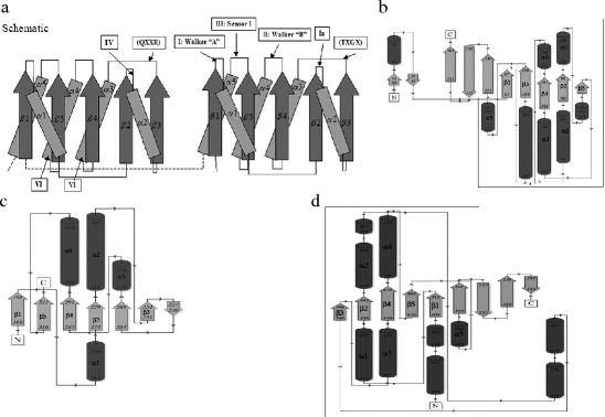 Fig. 20.4