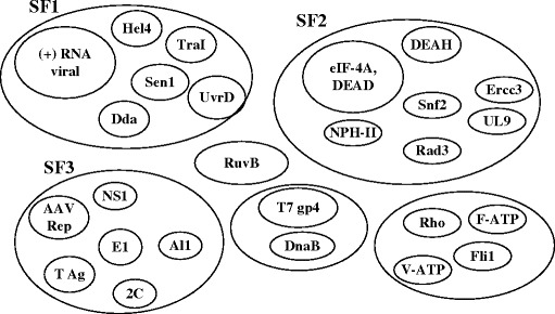 Fig. 20.1