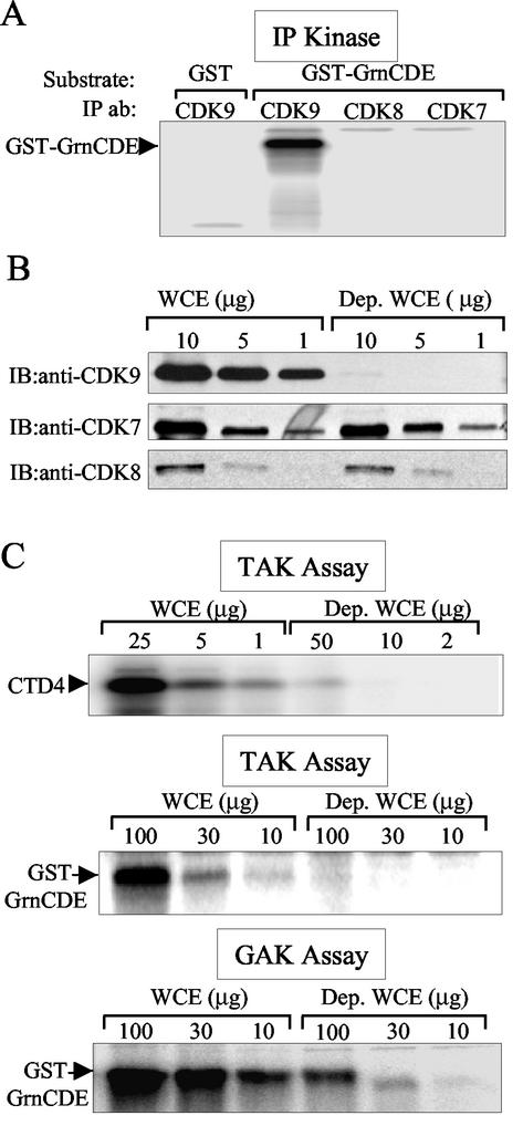 FIG. 7.