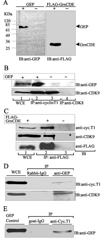 FIG. 4.