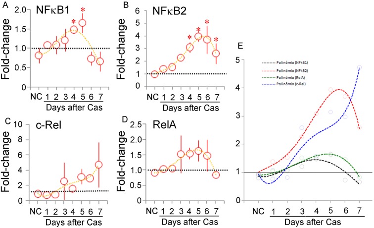 Figure 7