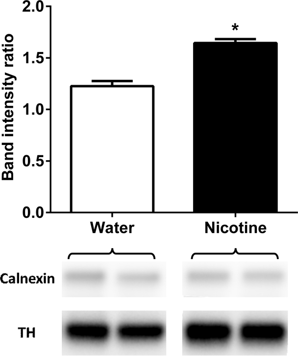 Figure 6: