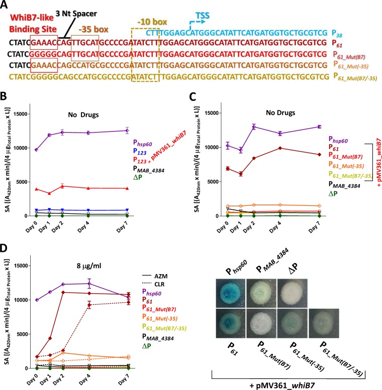 FIG 4