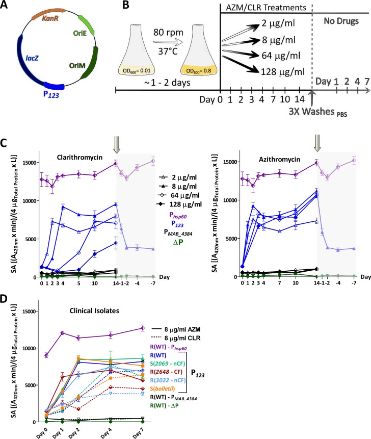 FIG 2