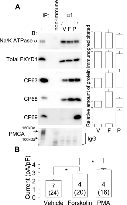 Fig. 8.