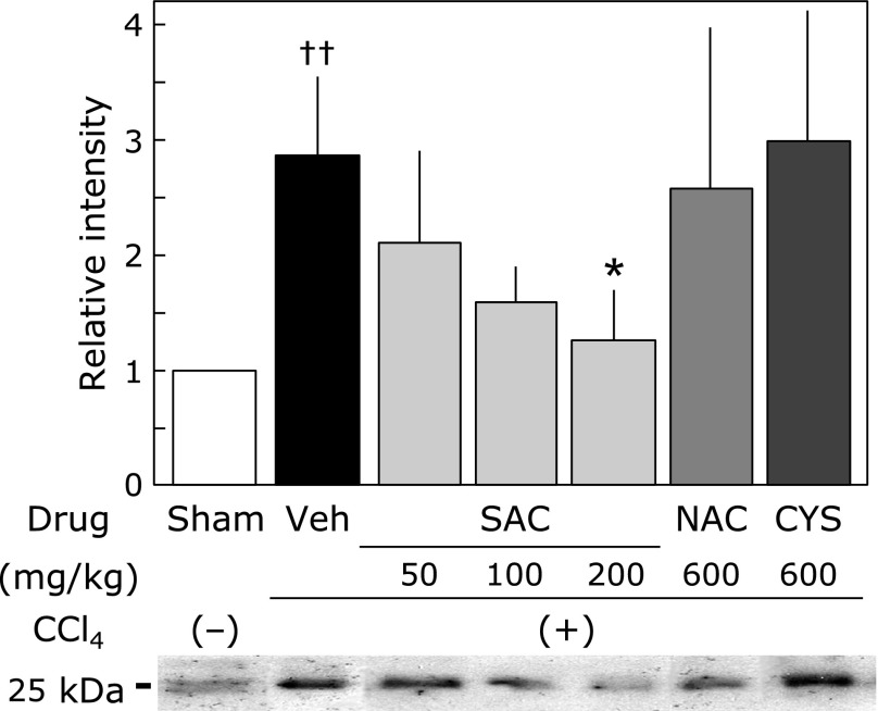 Fig. 6