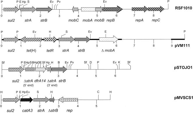 FIG. 1.