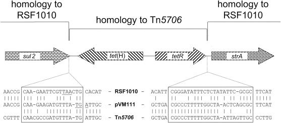 FIG. 2.