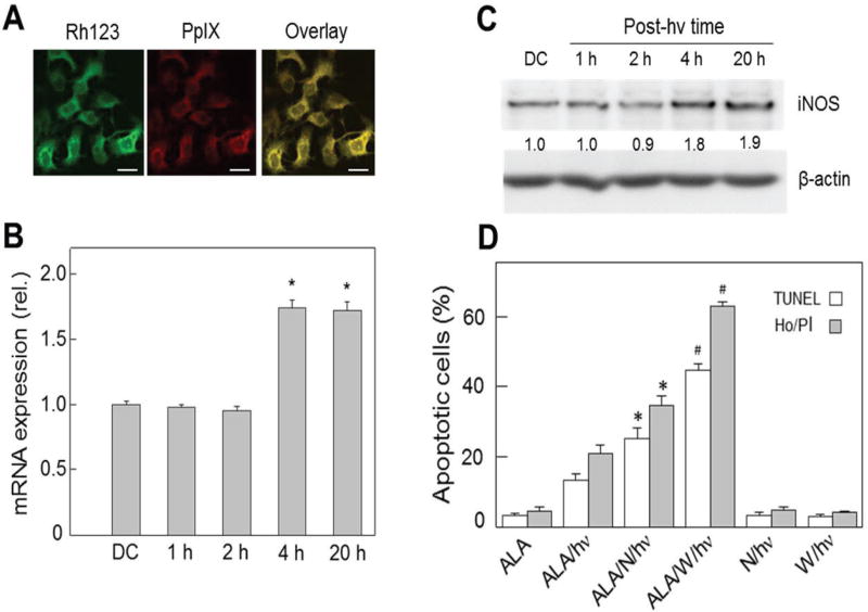 FIG. 1