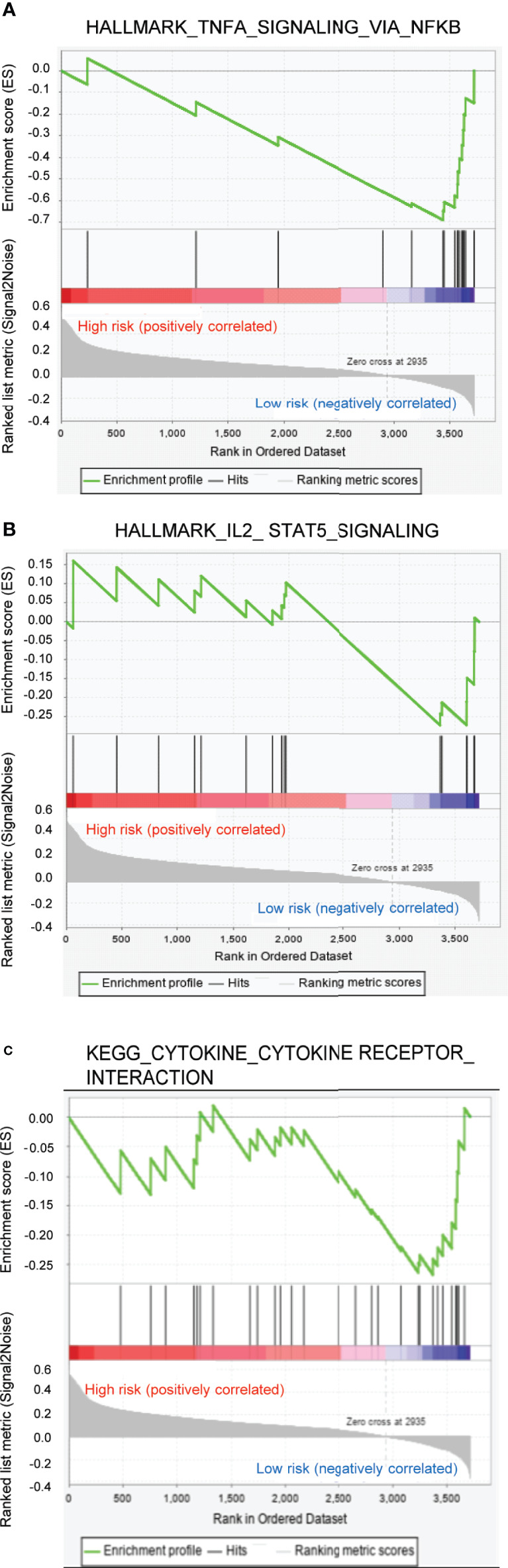 Figure 6