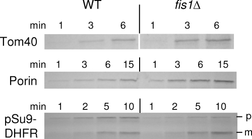 FIG. 12.