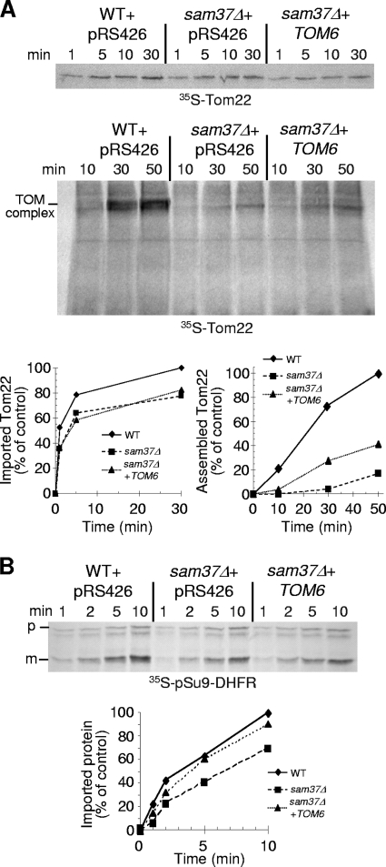 FIG. 10.