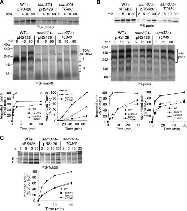 FIG. 9.