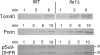 FIG. 12.