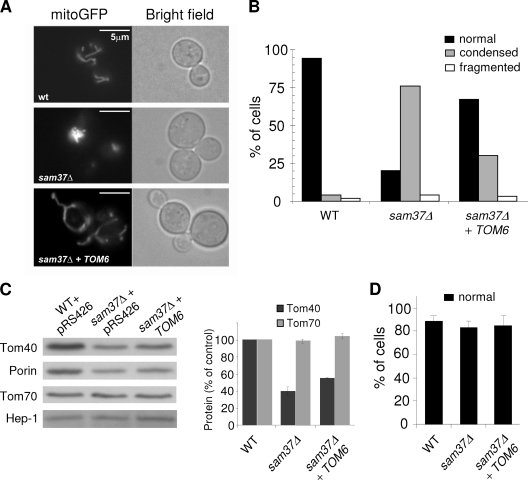 FIG. 11.