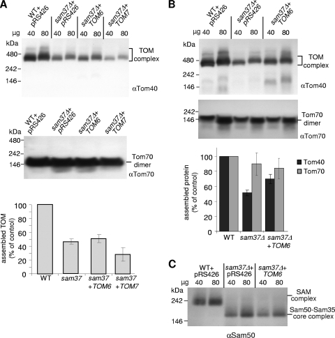 FIG. 7.