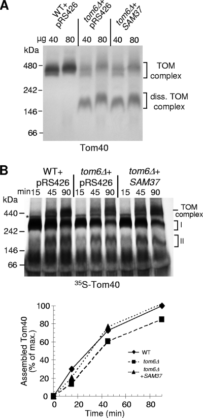 FIG. 13.