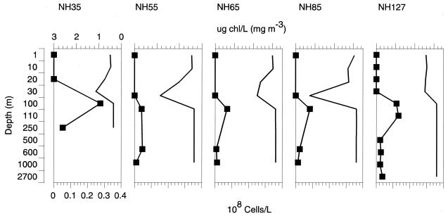 FIG. 5.