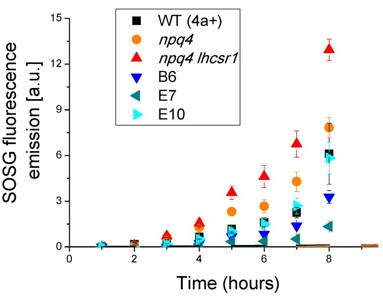 Figure 6