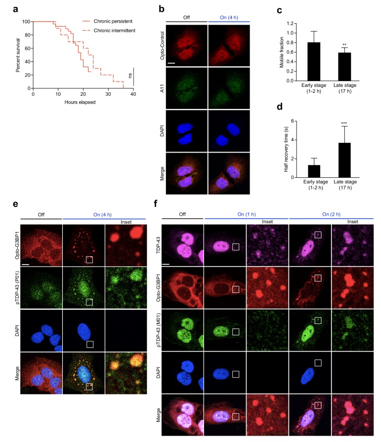 Figure 3—figure supplement 1.