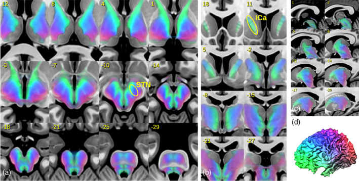 FIGURE 6