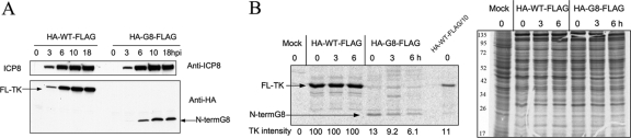 Fig 5