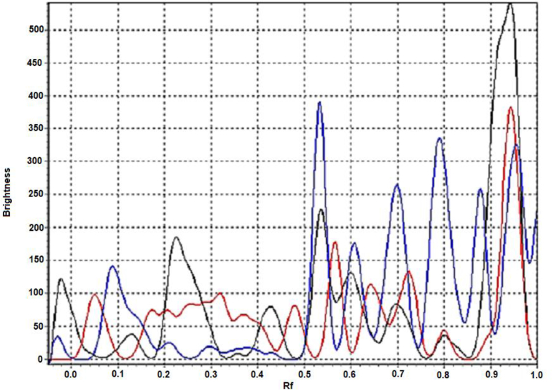 Fig. 2