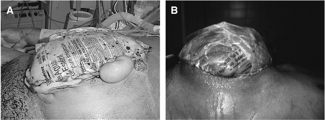 Fig. 8