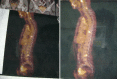 Fig. 2