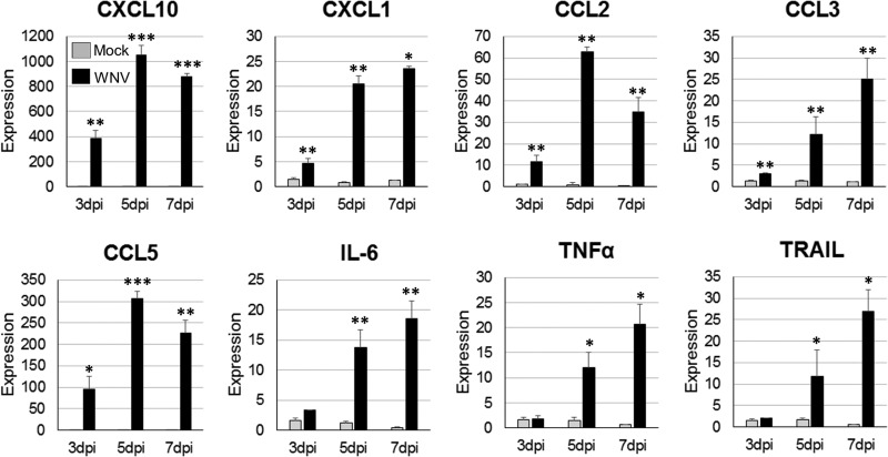 FIG 6