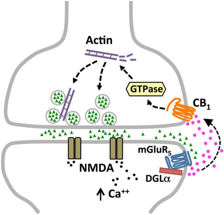 Figure 7.