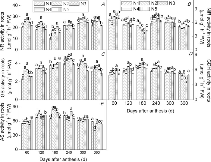 Fig 6