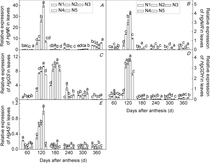 Fig 4