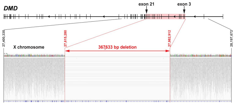 Figure 5