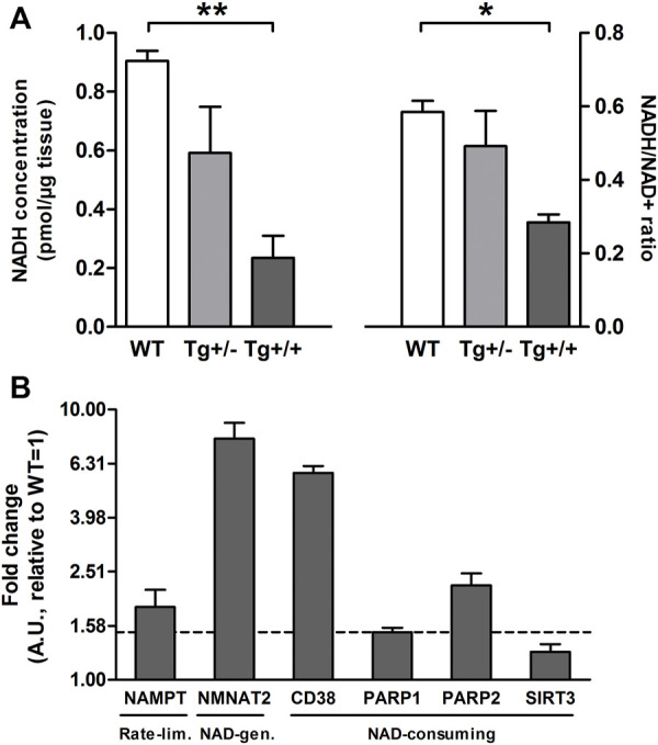 FIGURE 2