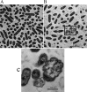 Fig. 3.