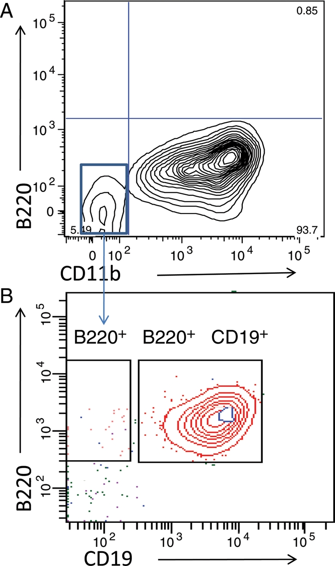 Fig. 2.