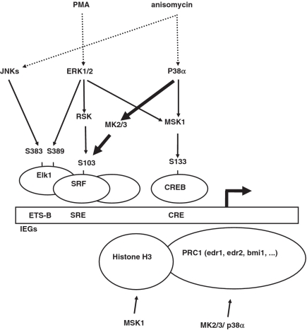 Figure 9.