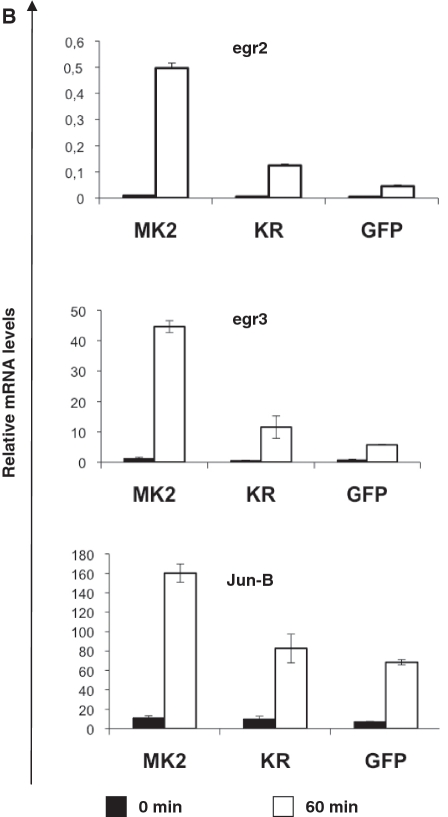 Figure 5.