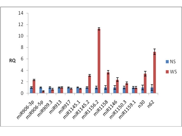 Figure 5