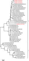 Figure 6.