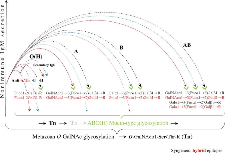 Fig. 2