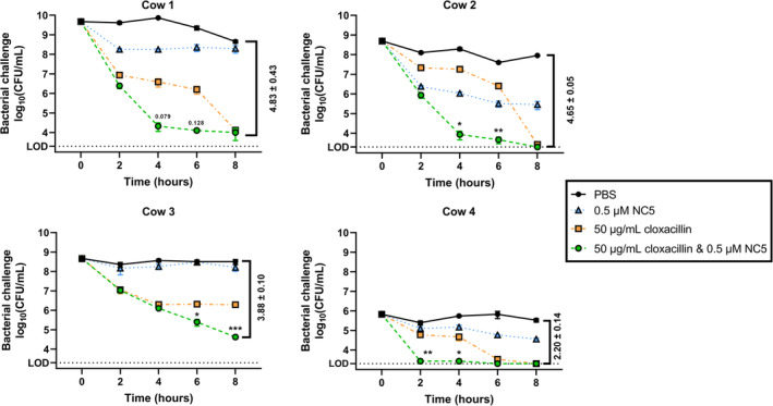 FIGURE 5