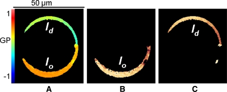 Fig. 2