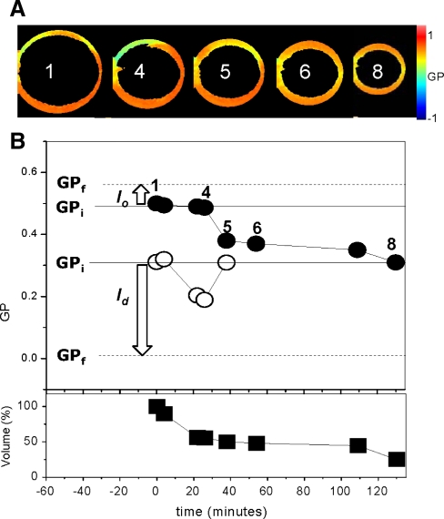 Fig. 4