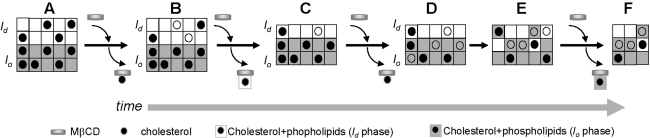 Fig. 6