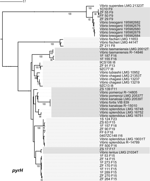 Fig. 6.