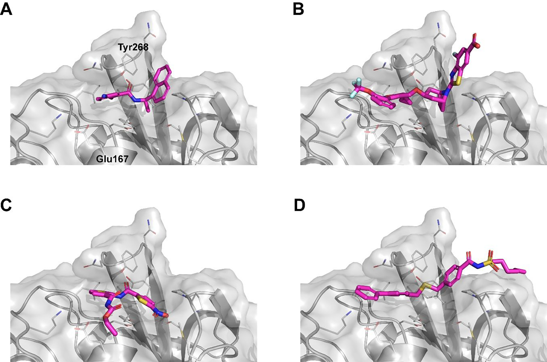 Figure 5.